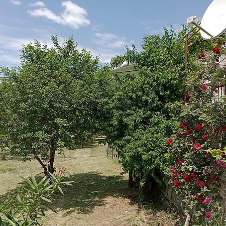 Apartment Natali Kastel Stari Luaran gambar
